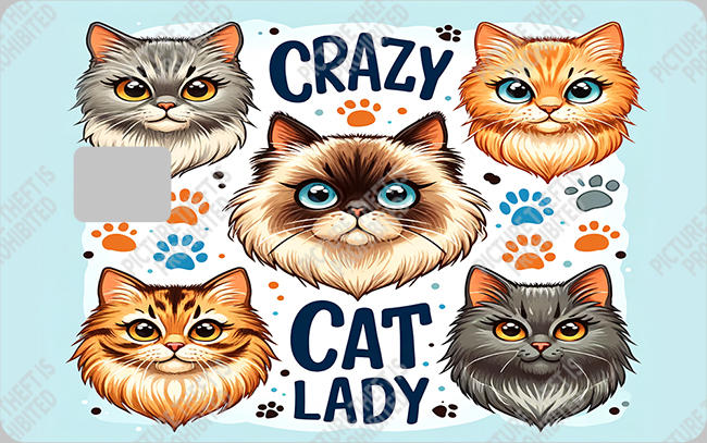 Bank  Card Sticker-BC-77